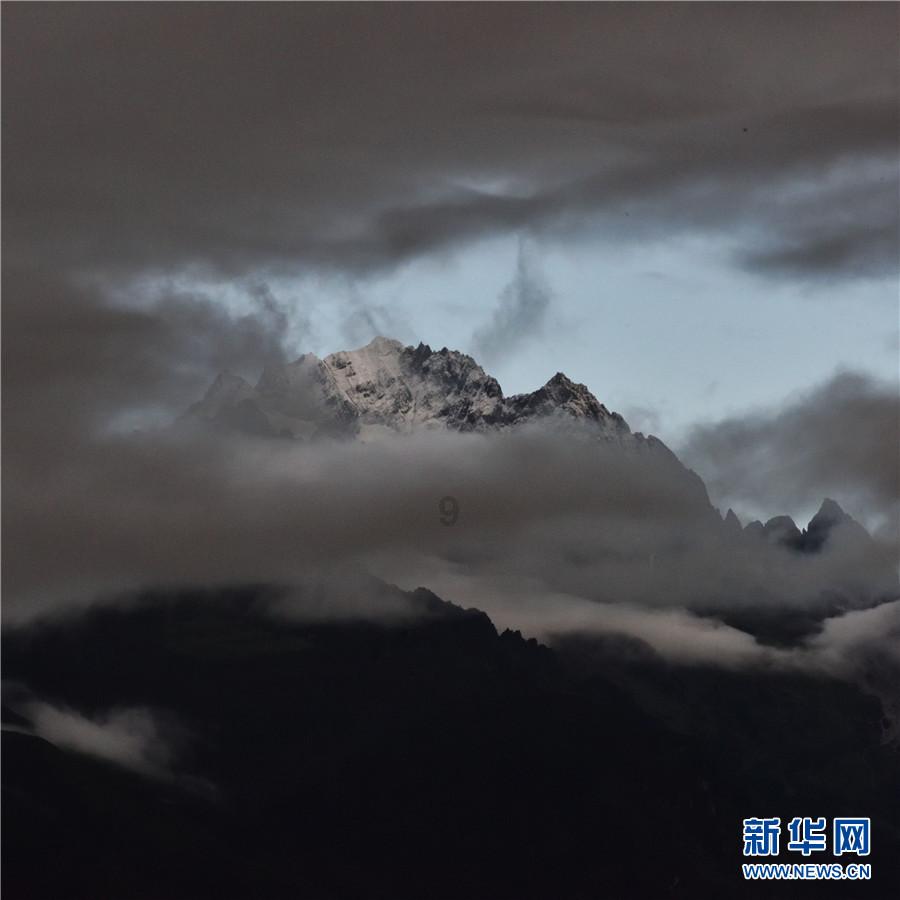 失忆的流浪者